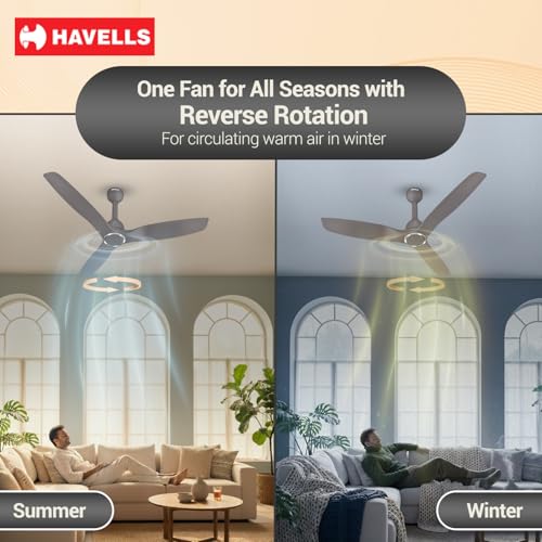 Image of Havells Stealth Slim BLDC 1200 mm Ceiling Fan | Remote Controlled, High Air Delivery Fan | 5 Star Rated, Upto 50% Energy Saving, Reverse Rotation, 2 Year Brand Warranty | (Pack of 1, Stone Grey)