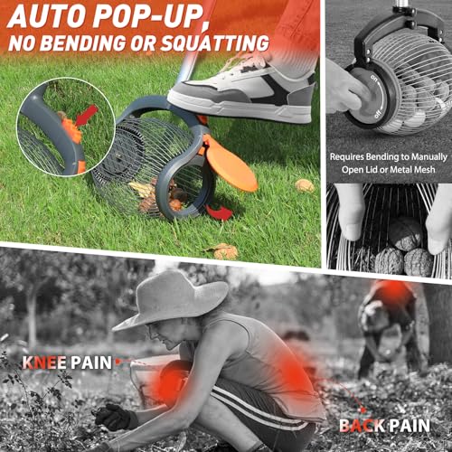 Easy-to-Use Nut Gatherer for Gathering Walnuts, Hickory, and Chestnuts with a Foot-Operated Release