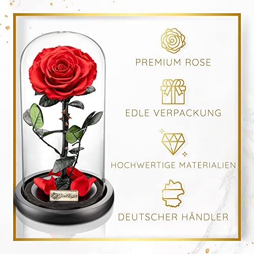 Ewige Rose Yourroses von Ziegler&Ribant – Echte Premium Rose im Glas
