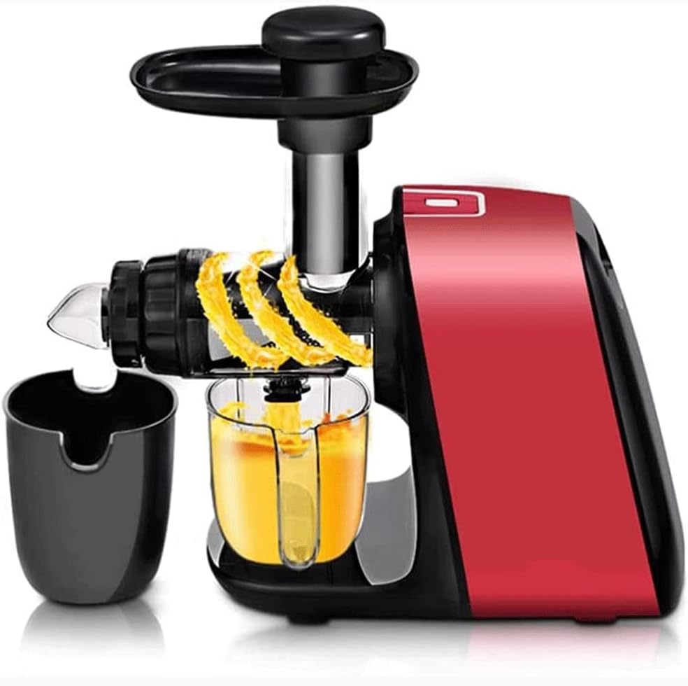 Juicer Slow Masticating Juicer Extractor with Reverse Function Cold Press Juicer Machine with Quiet Motor Juice Jug for Vegetables and Fruits