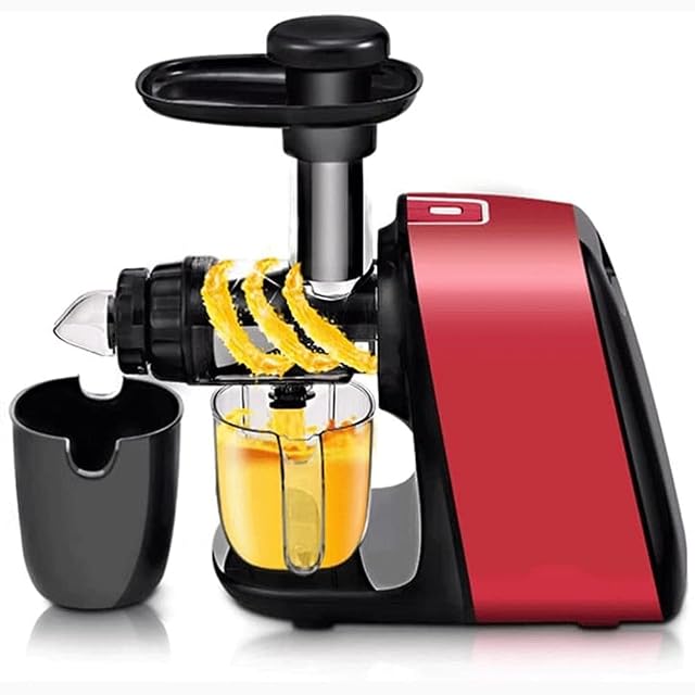 Juicer Slow Masticating Juicer Extractor with Reverse Function Cold Press Juicer Machine with Quiet Motor Juice Jug for