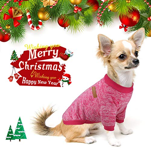 Idefair Idepet Abbigliamento per Maglione Felpato con Cappuccio Canna Gatto Cappotto Caldo per Cucciolo di Canna Orsacchiotto Chihuahua Gattino