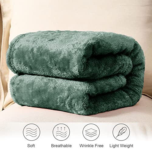 Whale Flotilla Plush Faux Fur Throw Blanket For All Seasons, Super Soft Breathable Fluffy Fleece Blanket For Couch/Sofa/Camping/Travel, Extra Large And Lightweight, 50X70 Inch, Grey Green #TOP2