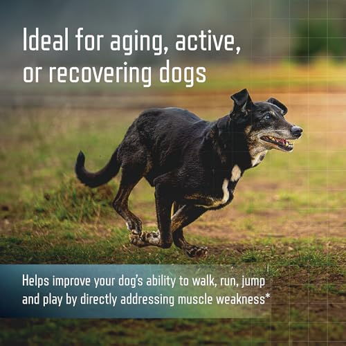 Image of Virbac URSOLYX Soft Chews for Dogs | Muscle Health Support for Senior, Active or Recovering Dogs, Small | 120 Count 4-Month Supply