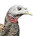Avian X LCD Breeder Hen Turkey Decoy