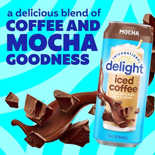 International Delight Mocha Iced Coffee