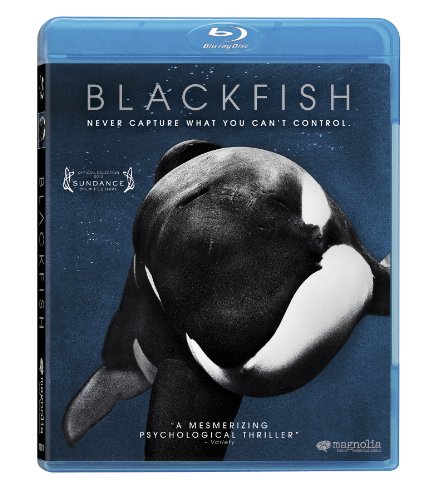 Blackfish