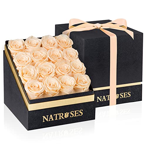 Natroses Forever Preserved Roses In A Box, 100% Real Roses That Last Up To 3 Years, Flowers For Delivery Prime Birthday, Valentines Day Gifts For Her (Buttermilk) #TOP23