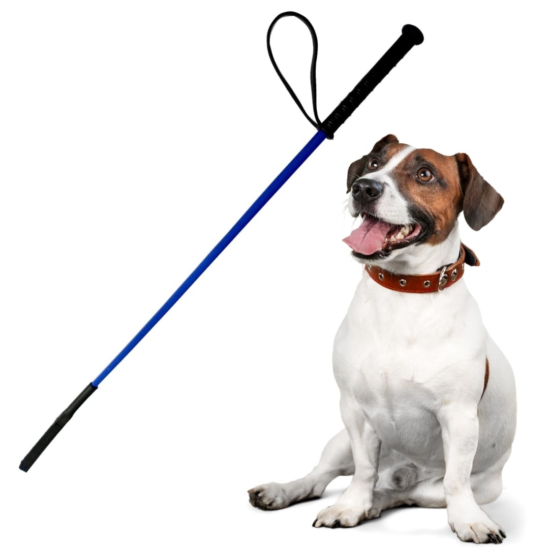 DreamAuro Walking Stick for Canine Caretakers: The Sturdy Stick for Safety, Dog Training Stick for Skillful Steps, Dogs Safety From Street Dogs, Endless Possibilities-Confidence, Connection & Control (B0CTSKTP83) Amazon Price History, Amazon Price Tracker
