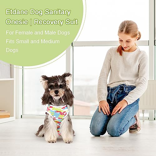 Etdane Dog Diapers Sanitary Panties Physiological Period Shirts Surgical Recovery Suits For Male And Female Dogs Camo/Xs #TOP2