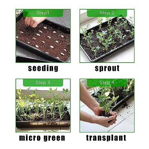 RooTrimmer Plant Growing Nursery, Standard 1020 Trays Plastic Sturdy Farmer Self Seedling Tray for Microgreens Indoor Nursery Pots Transplantation (5-Pack, 21.6"×11.2", 2.52" Deep, no Holes) - Image 7