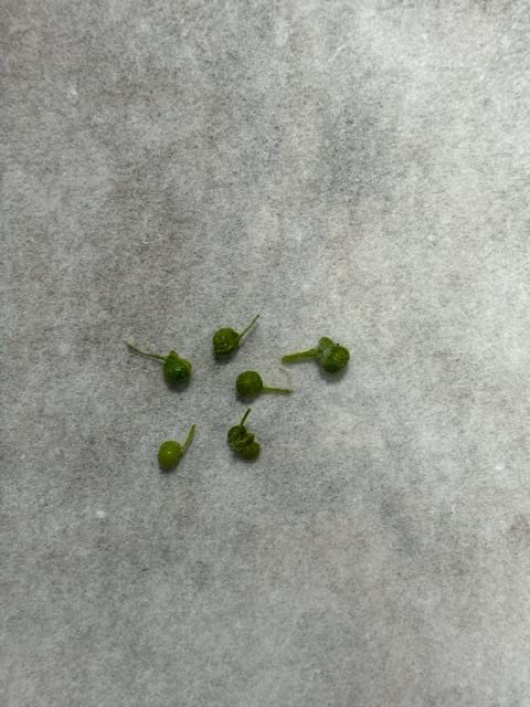 お客様イメージ