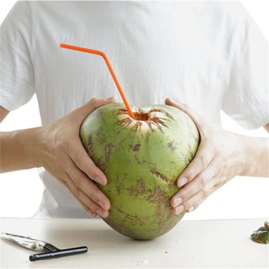 Coconut Opener Tool Stainless Steel Driller Cut Hole Fruit Openers Tools
