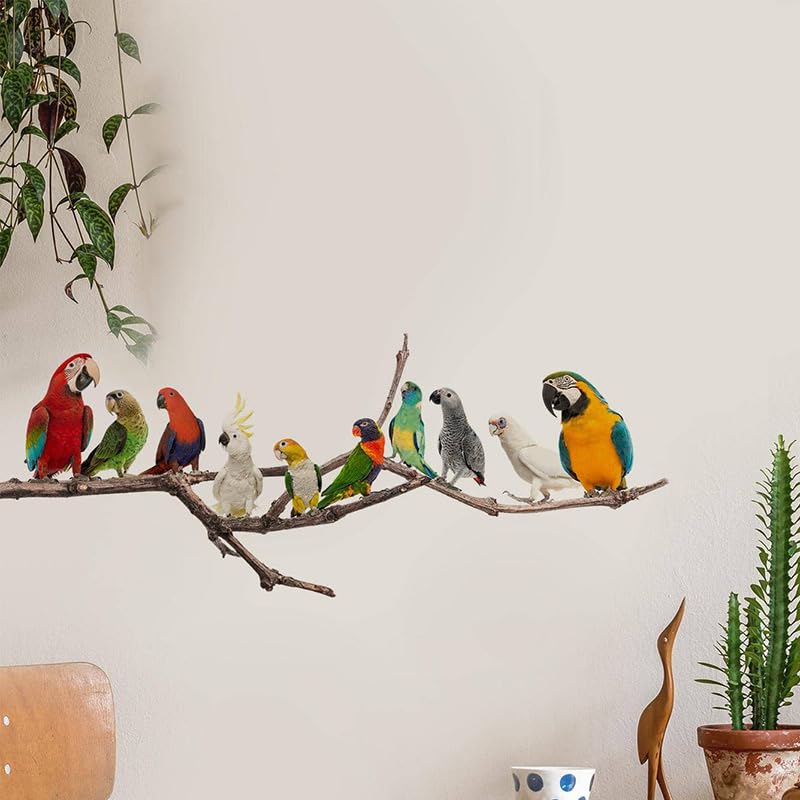 INDIAN ROYALS Colorfull Birds Sitting on Branch Sticker for Wall, Wall Design, Wall Design Sticker for Hall, Wall Stickers for Bedroom Big Size, Sticker for Wall Decoration (30 CM x 90 CM) (B0CPVP236N) Amazon Price History, Amazon Price Tracker