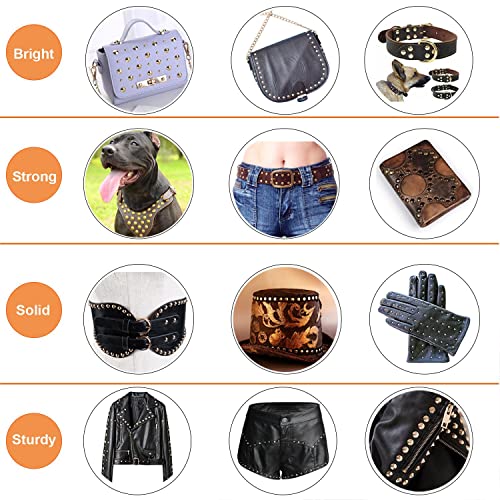 240 Sets Leather Rivets, Double Cap Rivet Tubular - 4 Colors 3 Size Metal Studs Brass Rivets With Setting Tool Kit For Leather Craft/Shoes/Bags/Clothes/Belts Repair Decoration #TOP1