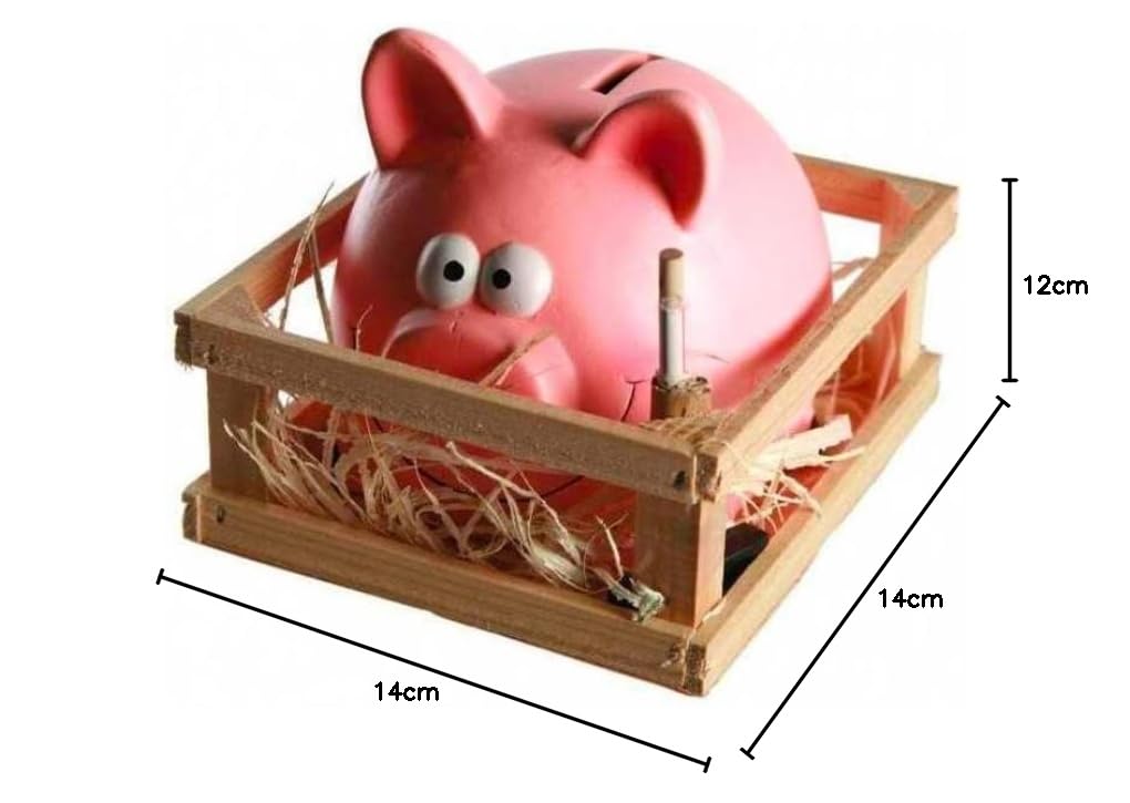 Tirelire En Céramique En Forme De Cochon Rouge Traditionnel 100 % Fabriquée à La Main 18 X 11,5 X 14 Cm