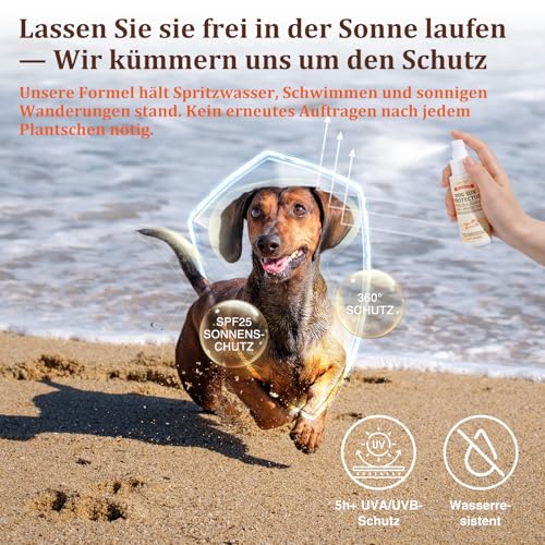 Hunde Sonnenschutz-Spray SPF 25 – Leichtes, Öl-basiertes UV-Schutzspray für empfindliche Haut | Beruhigende & Feuchtigkeitsspendende Formel mit Aloe, Ringelblume und Hafer | 80 ml​