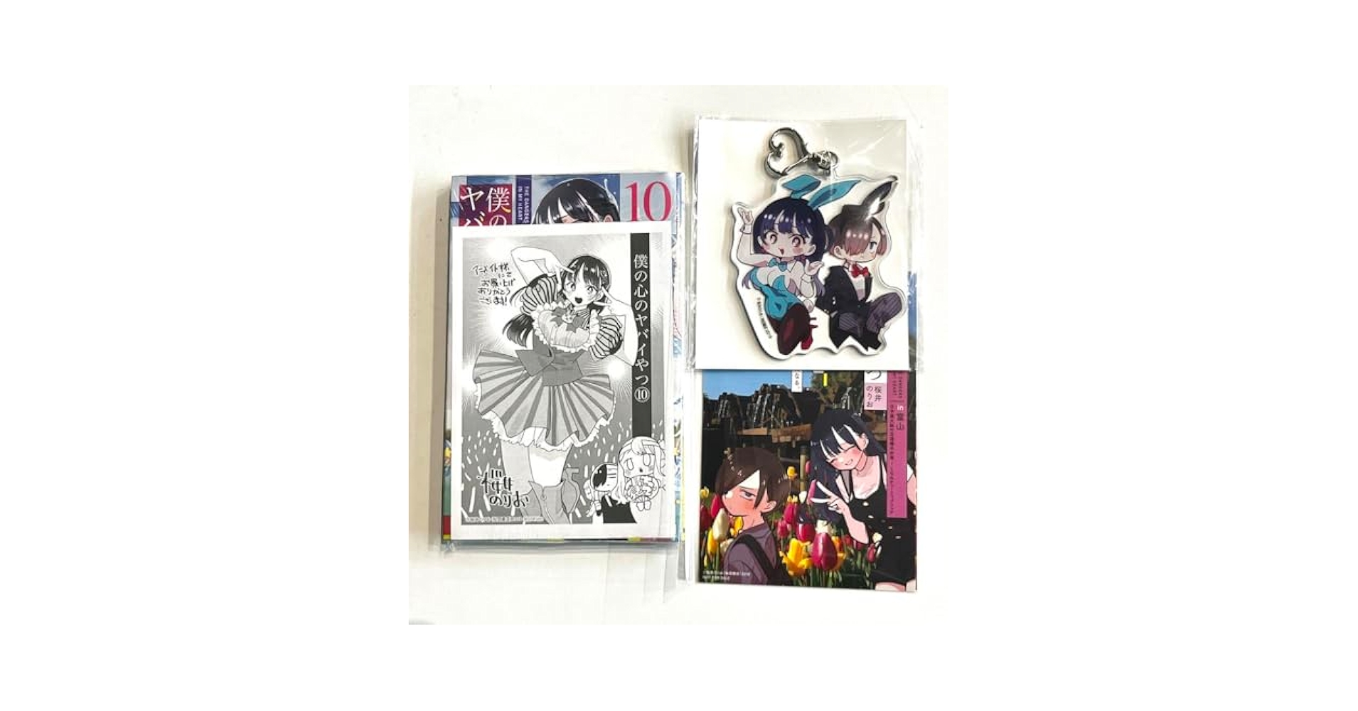 新品未開封 僕の心のヤバイやつ 10巻 アニメイト限定 特装版 僕ヤバ C コミック】僕の心のヤバイやつ(10) 特装版 | アニメイト