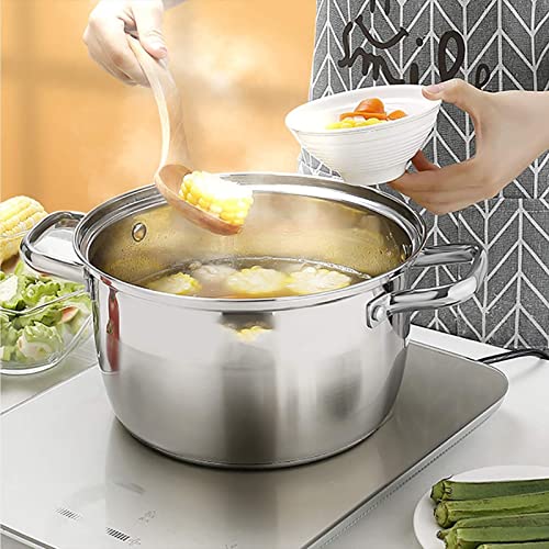 Marmite à soupe à fond composite compatible induction et gaz 20cm - 3