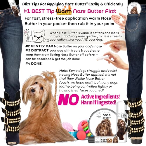 Image of The Blissful Dog Havanese Unscented Nose Butter - Dog Nose Butter, 2 Ounce