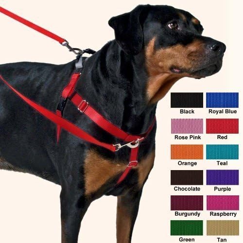 Wiggles Wags Whiskers Freedom No-Pull Harness 1 Inch Width Large Turquoise