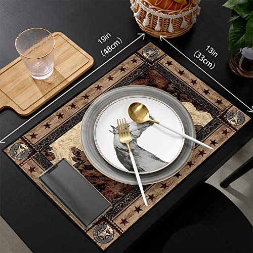 Maconaa Western Texas Star Placemats For Dining Table Set Of 6, Rustic Vintage Place Mats For Kitchen/Dining, Non Slip, Durable, Washable Table Mats 13''X19'' Table Decor, Brown #TOP5