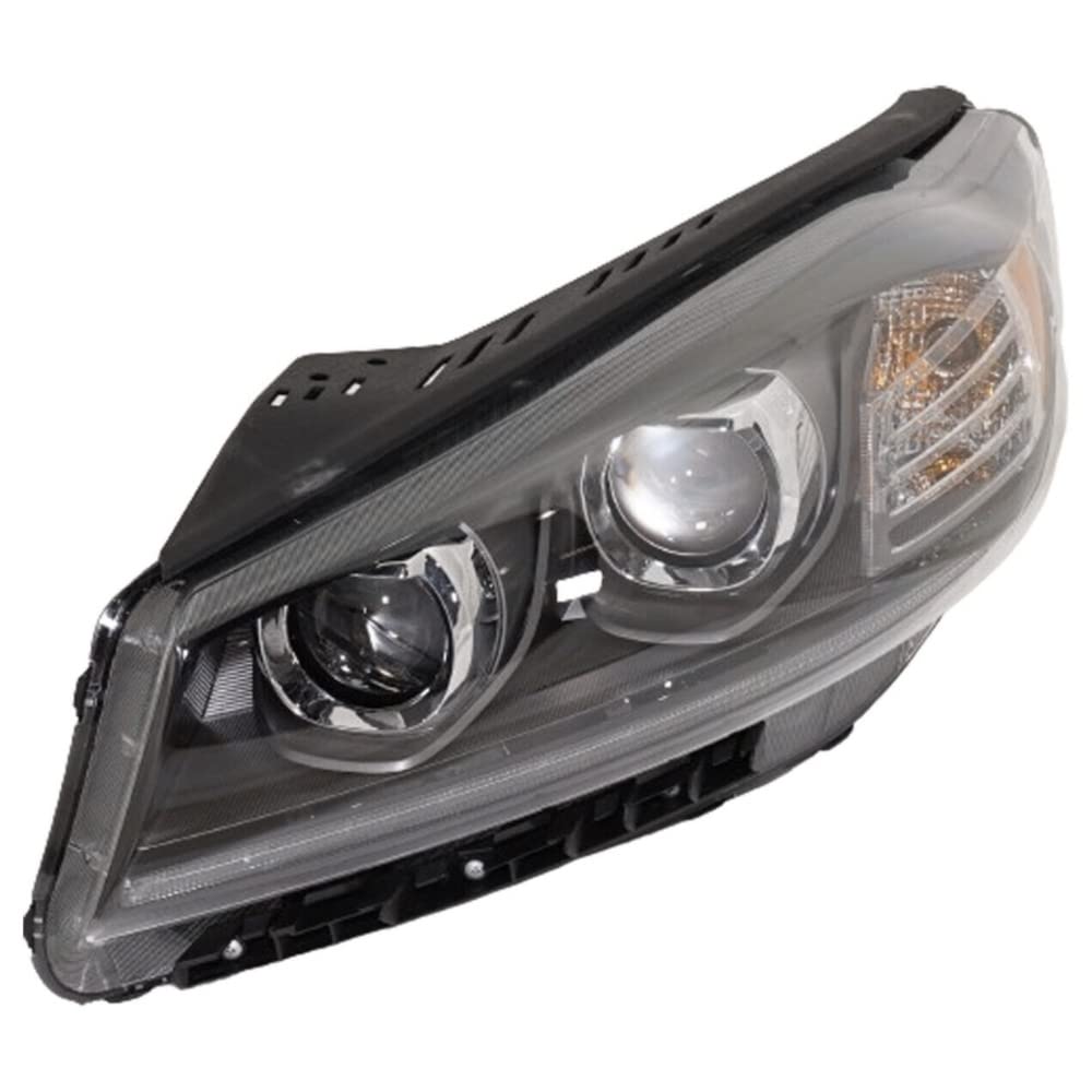 Amazon.com: DORI Headlight Driving Head light Headlamp Driver Left 
