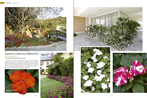 Coleção Grande Enciclopédia Natureza de plantas para o Jardim (6 volumes)