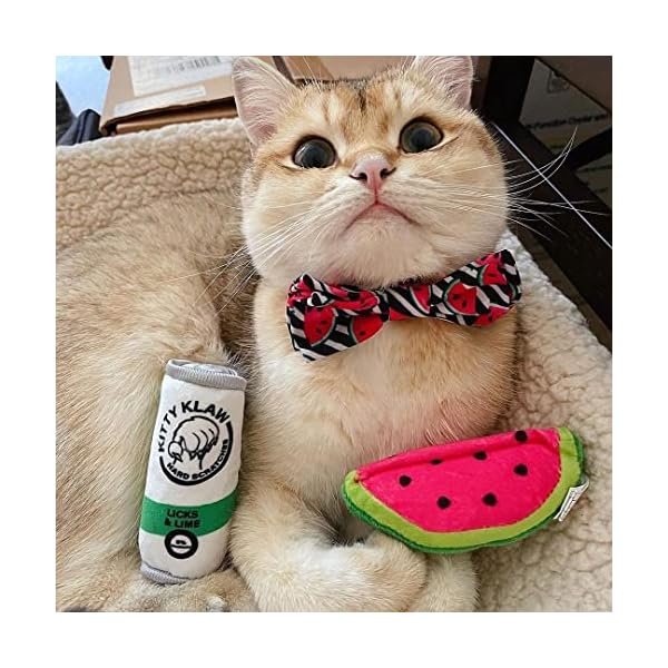 Huxley & kent cat toy | kitty klaw licks & lime | nappy hour strong catnip filled cat toy | soft plush kitty toy with catnip and crinkle | kittybelles - image 6