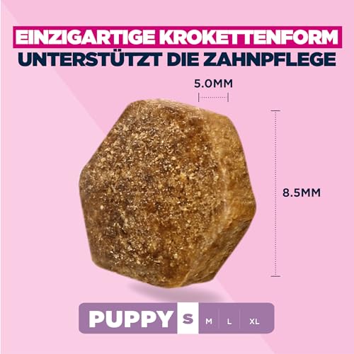 Eukanuba Welpenfutter mit frischem Huhn für kleine Rassen, Premium Trockenfutter für Junior Hunde, 3 kg