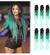 Cerisun Braiding Hair Extensions 24 Inch, Kanekalon Jumbo Braid, 6Pcs/Lot High Temperature Synthe...