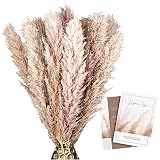 LEISURE LIFE | 10x Pampasgras groß 118cm | natürliches rosa/lila | XXL Trockenblumen als Blickfang in deiner Wohnung | Super fluffige Blüten | inkl. Dekoguide