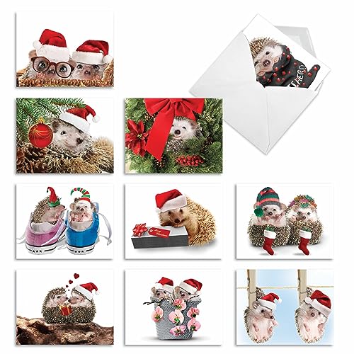 Image of The Best Card Company - 10 Assorted Blank Christmas Greeting Cards w /Envelopes, Animal Humor Variety Pack for Men and Women, Men and Women (10 Designs, 1 Each) - Holiday Cards from the Hedge M6541XSB