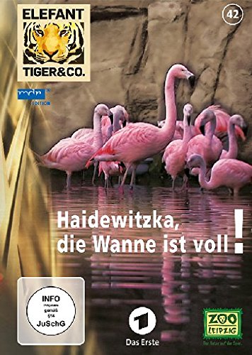 Elefant, Tiger & Co. - Teil 42 - Haidewitzka, die