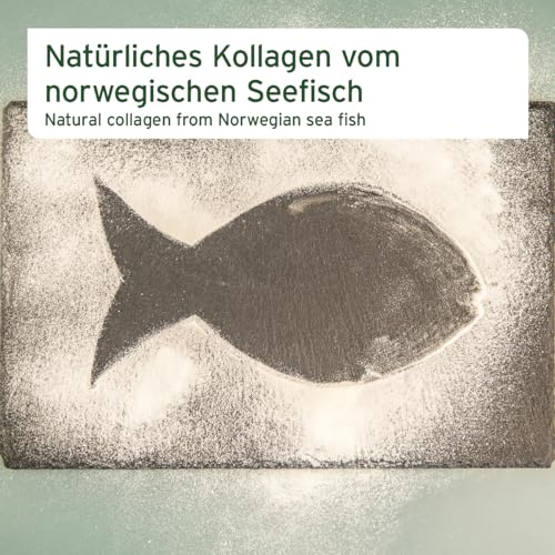 AniForte Marine Kollagen Gelenkpulver für Hunde CollaMove 250g – Fisch Collagen unterstützt Gelenke, Sehnen & Bänder – Naturprodukt für Gelenkfunktion & Agilität