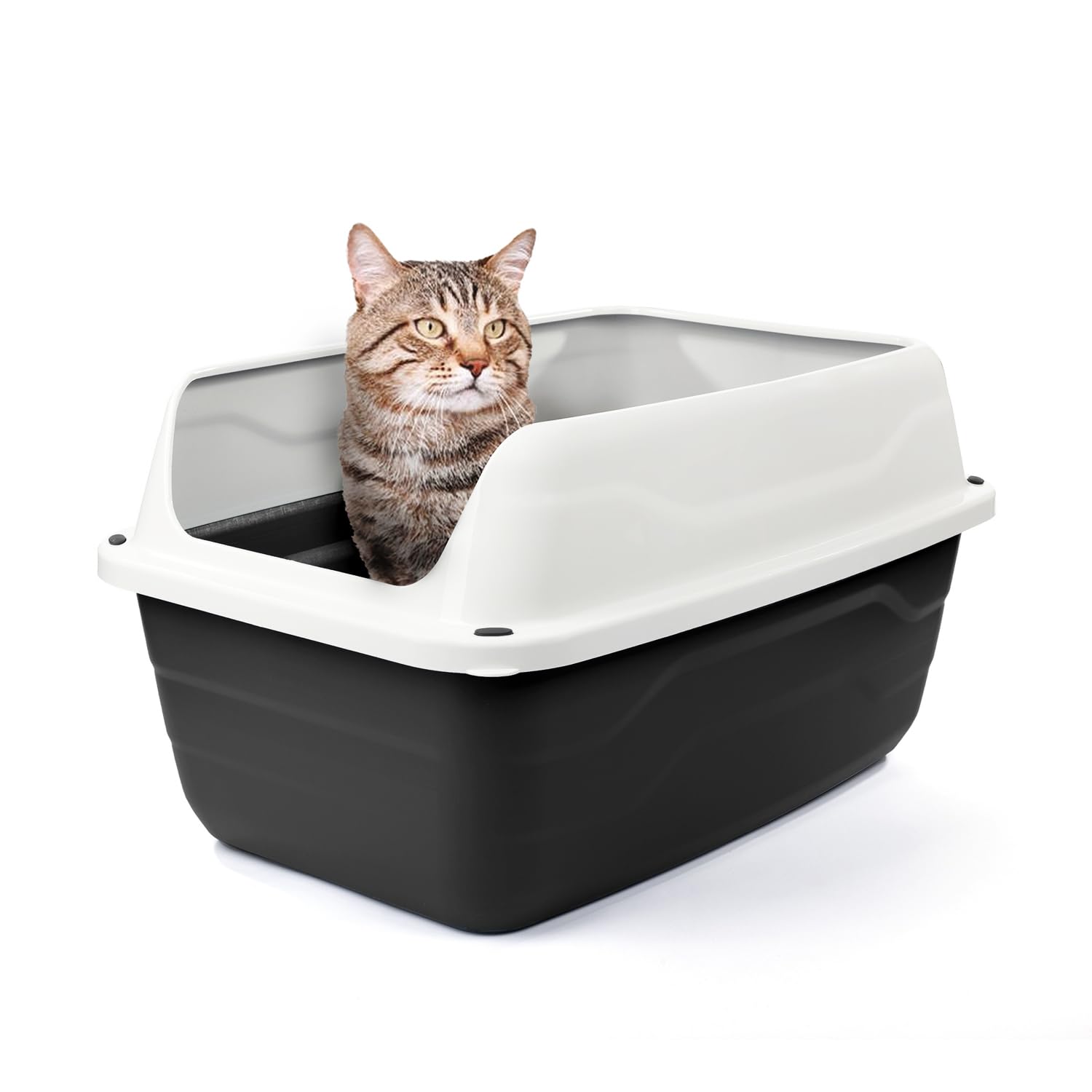 Patam Offene Katzentoilette mit hohem Rand und gratis Schaufel 56 cm x 40 cm x 30 cm Made in Italy - Attila Grau