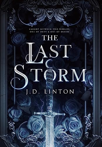 The Last Storm view 2