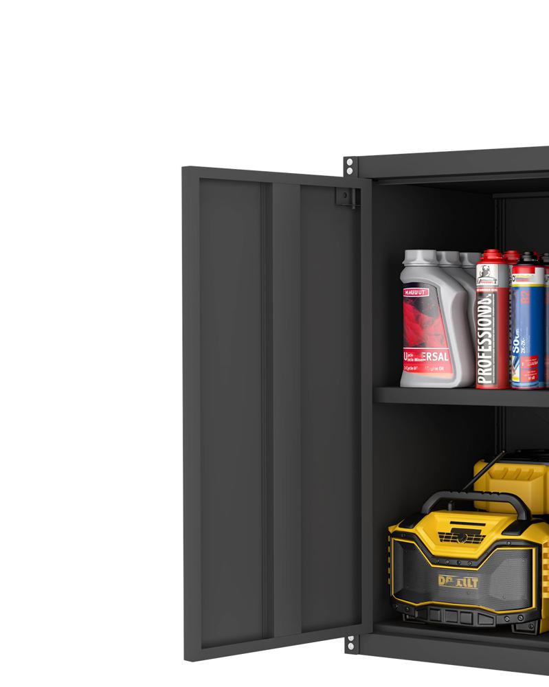Amazon.com: LUCYPAL Garage Storage Cabinet,27.95
