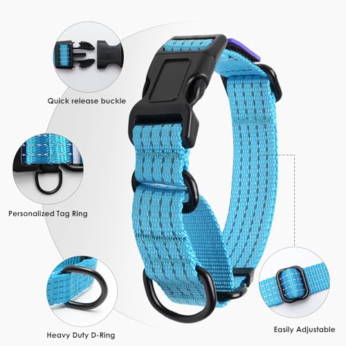 Image of Martingale Dog Collar Reflective NO Pull with USA Flag, L,Sky Blue | Escape Proof without choking,Adjustable Limited Slip Collar with Quick Release Buckle, Nylon Walking Collar for S M L Dogs