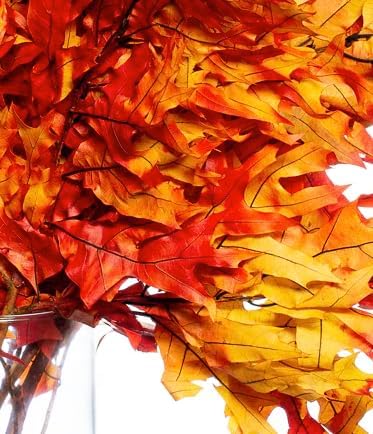 Miniatura 3 de Hojas de roble secas preservadas, 24 x 16 pulgadas, 3-5 ramas. Hojas secas de otoño conservadas, arreglo seco para decoración del hogar (manojo de 1