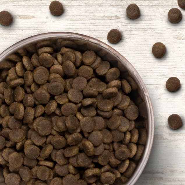 Wildborn Natural Puppy 1 x 12 kg | Hundetrockenfutter für Welpen und Junghunde mit Geflügel, Pangasius und Kartoffel | mit 92% tierischem Protein