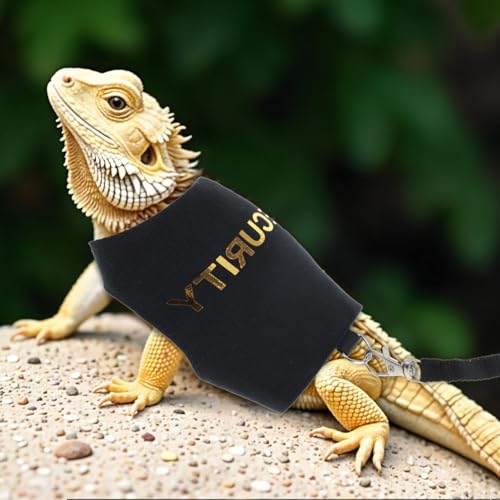 Image of Bearded Dragon Harness and Leash Set, Adjustable Bearded Dragon Harness with 5 ft Short Leash, Escape Proof Outdoor Walking Training Leashh for Beardedd Dragons Lizard Small Pets