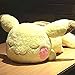 Anime Plüsch Kawaii schlafendes Pikachu Plüschtiere Poke Plüschpuppe weiches Stofftier Plüschkissen Geburtstagsgeschenk für Kinder | 40cm Pikachu