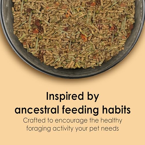 Kaytee Food from the Wild Chinchilla,3 Pounds,(Pack of 2) - image 2
