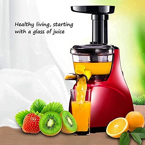 Juicer Machine,Juicer Machines Easy to Clean Slow Masticating Juicer for Hard Soft Vegetable and Fruit Quiet Motor