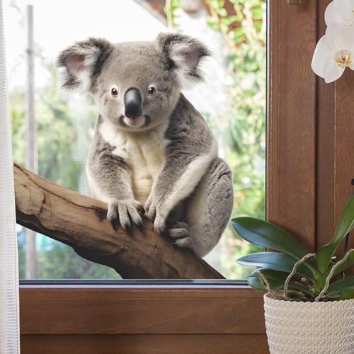 Vinilo decorativo de koala adorable para pared miniatura 6