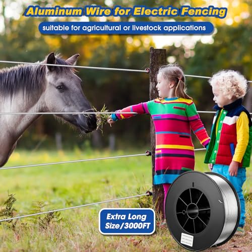 View 4