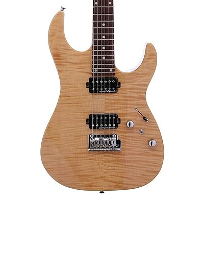 Amazon.com: IYV- IS-400-HH Solid Body with Flame Maple, H-H Pickup