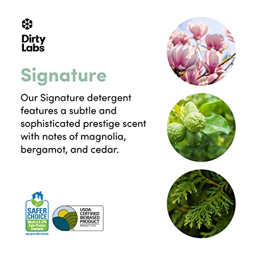 Dirty Labs | Signature Scent | Bio-Liquid Laundry Detergent | 80 Loads (21.6 Fl Oz) | Hyper-Concentrated | High Efficiency & Standard Machine Washing | Nontoxic, Biodegradable | Stain & Odor Removal #TOP1