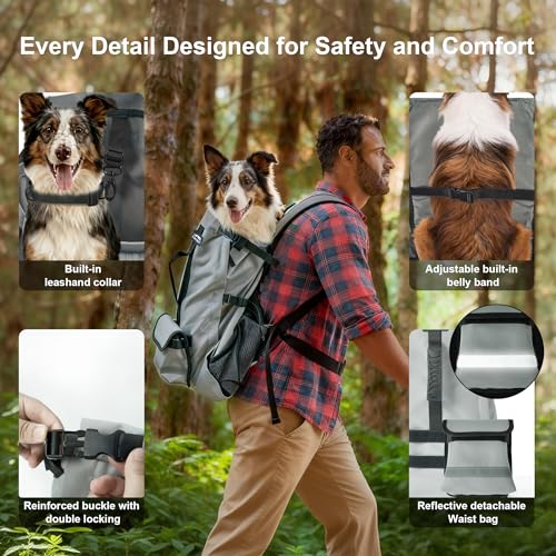 Dog Backpack Carrier, Ergonomic Pet Travel Bag, Suitable for Medium and Large Dogs, Built-in Leash and Adjustable Buckle, Ideal for Hiking and Cycling, M - Image 3